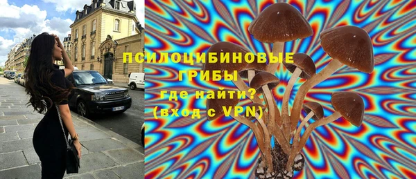 сатива Медвежьегорск