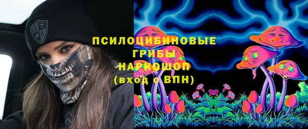 сатива Медвежьегорск