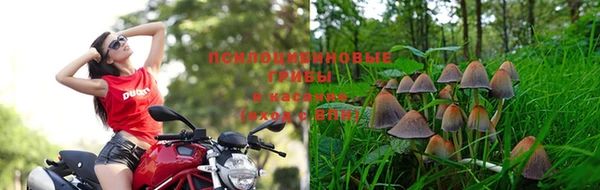 марки lsd Мегион