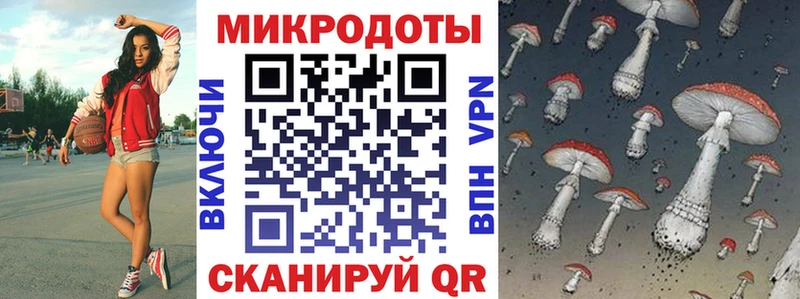 Галлюциногенные грибы Psilocybe  Купить где  Солнечногорск 